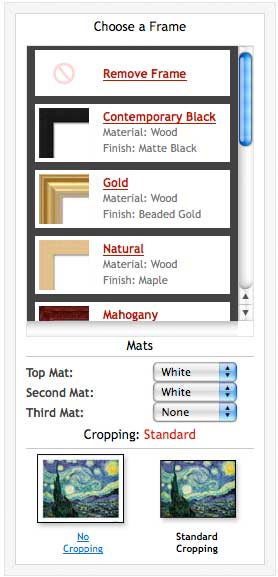 Framed Art Framer Options